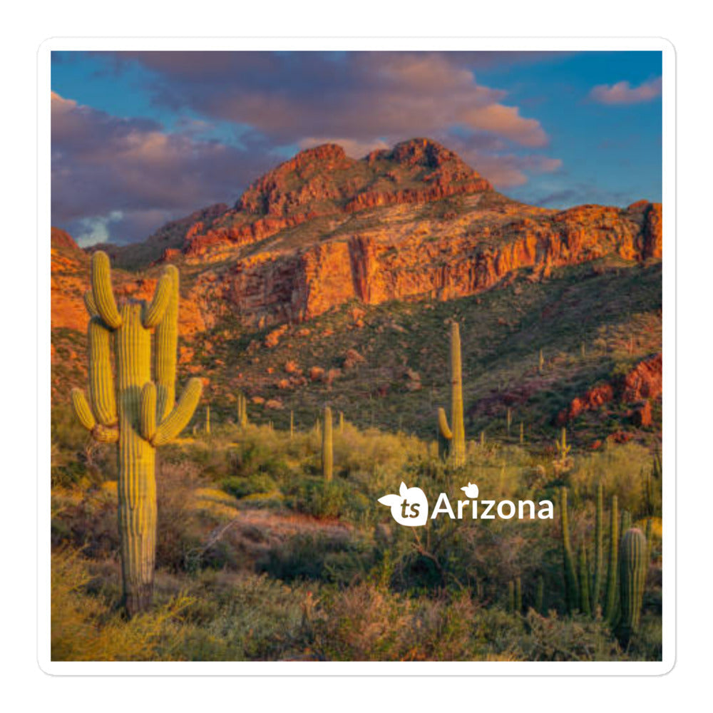 tsgabrielle® • Arizona - Tucson bergskedja • Bubbelfri klistermärke • 3 storlekar