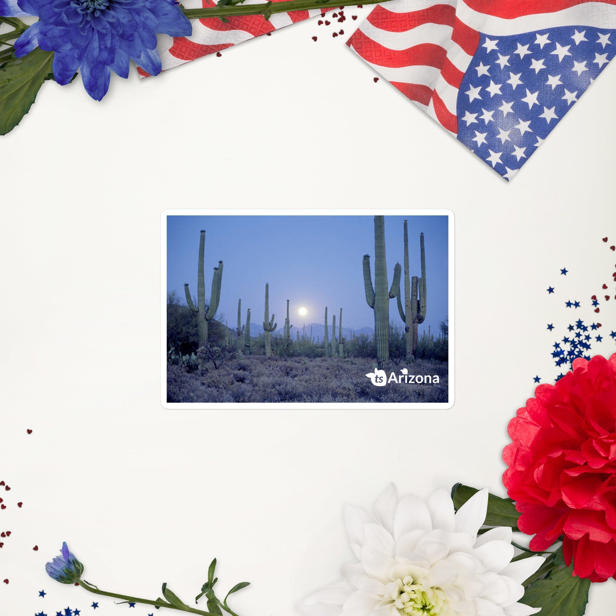 tsgabrielle® • Arizona 🌵 - Saguaro National Park • Sticker Bubble-Free • 3 Sizes •