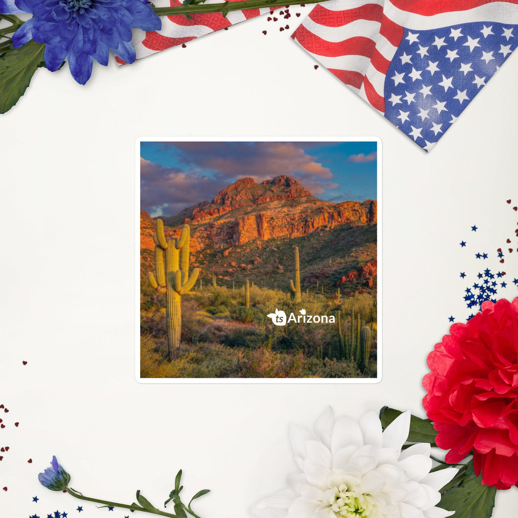 tsgabrielle® • Trans / Dam • Paris • Kort tröja • Svart