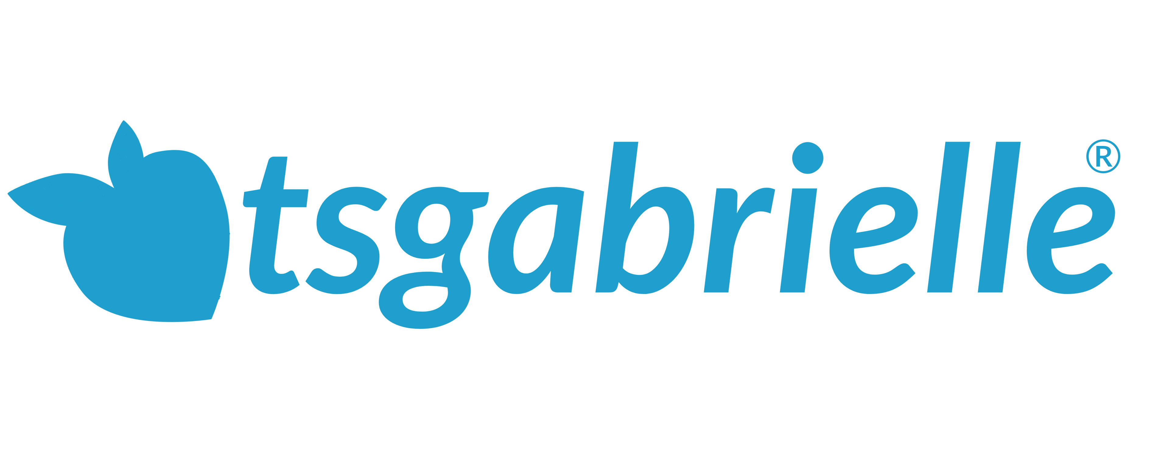 Logo of tsgabrielle with a blue leaf-like symbol on a white background