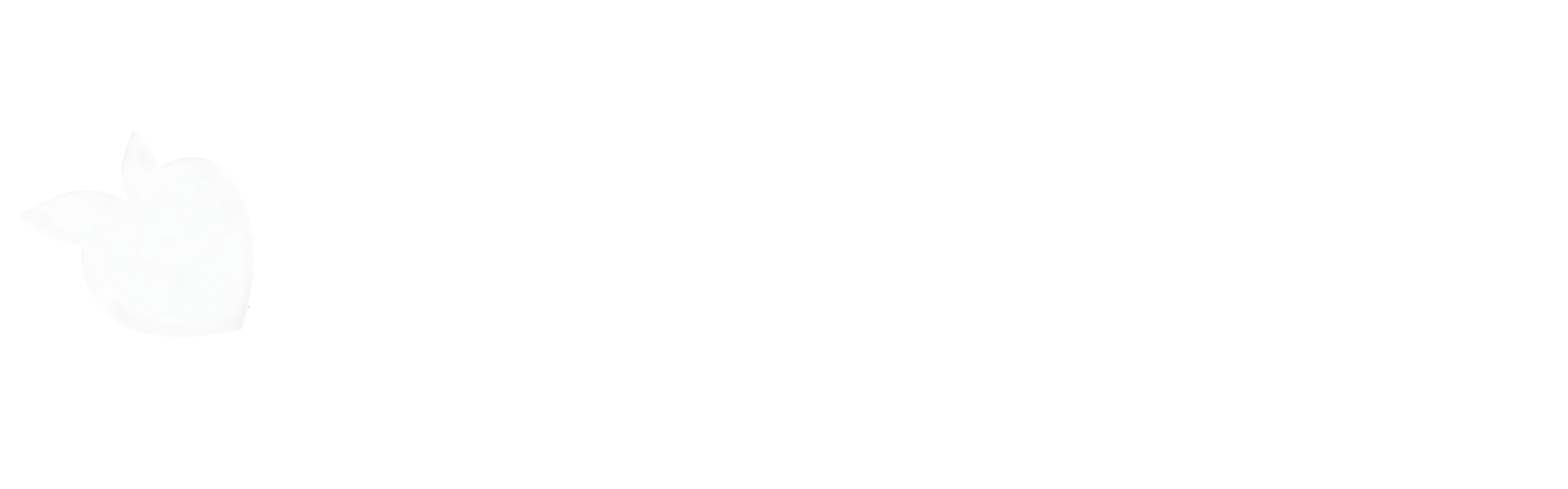 tsgabrielle® 2